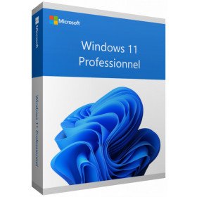 Microsoft Windows 11 Pro 64 bits Français (Licence originale + DVD) (FQC-10532) Microsoft