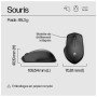 HP Souris sans fil silencieuse 280 Souris sans fil silencieuse HP 280 (19U64AA) Hp