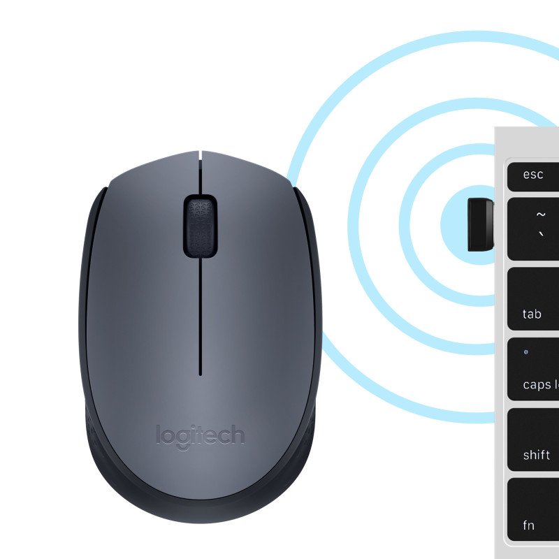 Logitech M170 Grey-K souris Ambidextre RF sans fil Optique 1000 DPI (910-004642) Logitech